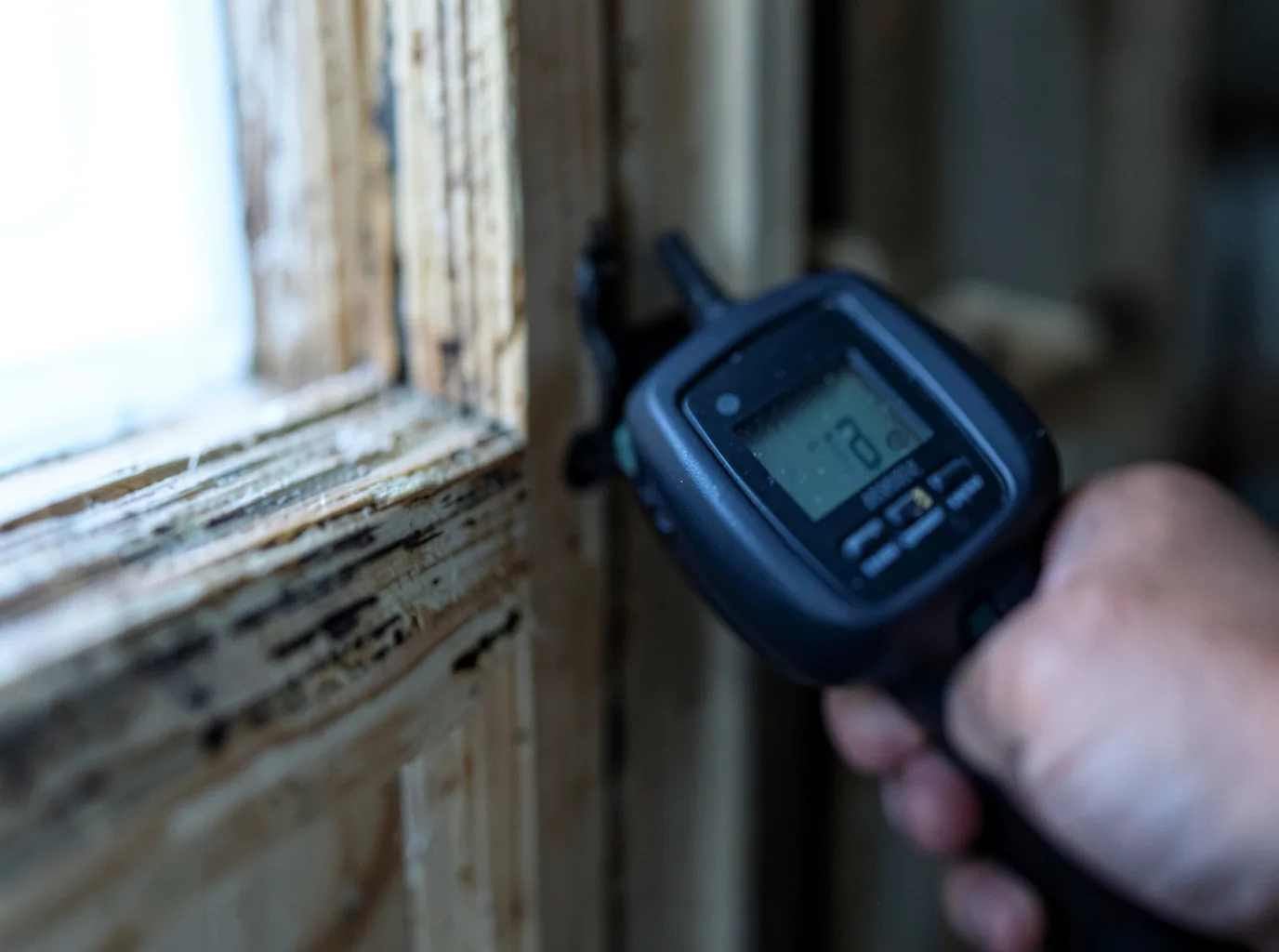 Moisture Inspection And Documentation in East Lynn, WV